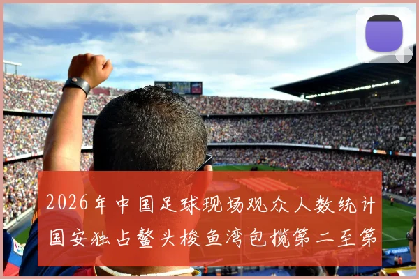 2026年中国足球现场观众人数统计国安独占鳌头梭鱼湾包揽第二至第七位